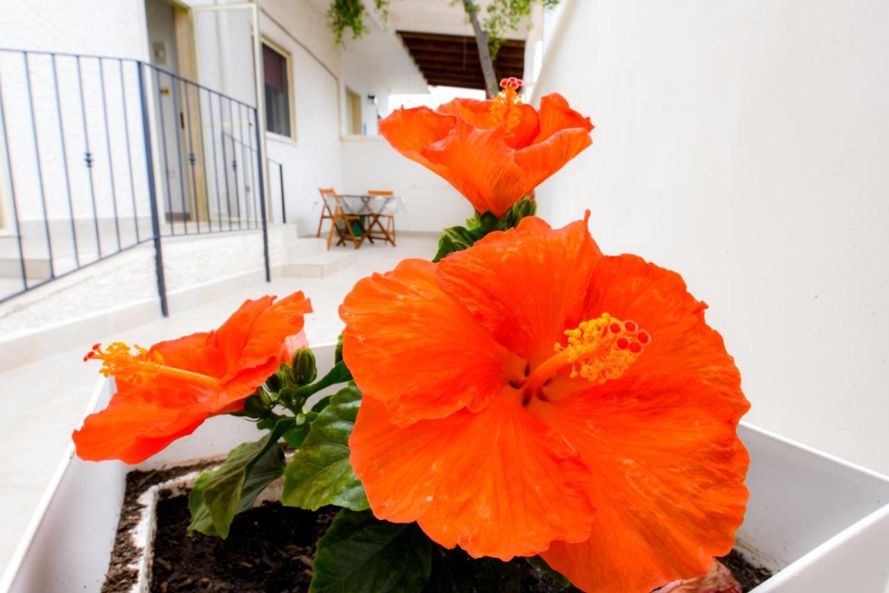 B&B Macchia Mediterranea Сан-П'єтро-ін-Беванья Екстер'єр фото